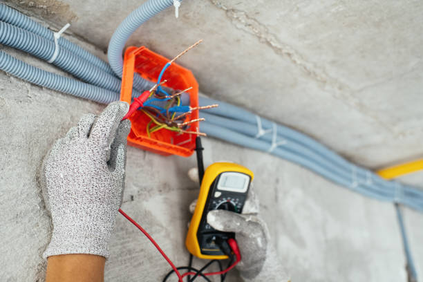 Best Electrical System Inspection  in Elk Creek, KY